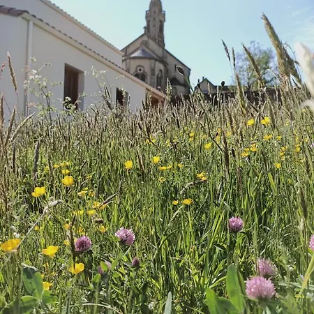 Gite Atypique Plus Haut De Vendee 10Mn Puy Dufou Saint-Michel-Mont-Mercure Exterior foto